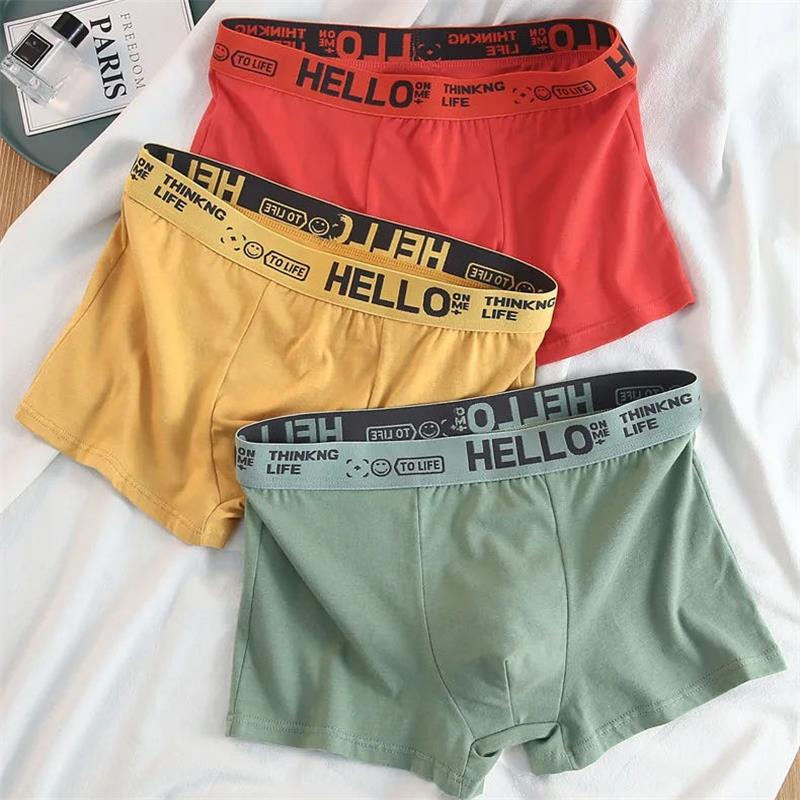 10 шт./мужское нижнее белье, м – обзор и цена Boxer Shorts Modal